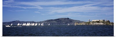 Sailing Regatta San Francisco Bay CA