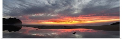 San Gregorio State Beach at sunset, California