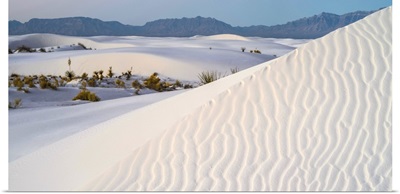 Sand dunes and Yuccas at White Sands National Monument, New Mexico