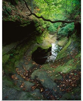 Sandstone creek bed and water hole, Little Grand Canyon, Shawnee National Forest, Illinois