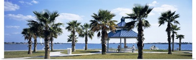 Shade and palm trees in a park, Bayfront Park, Sarasota Bay, Sarasota, Florida