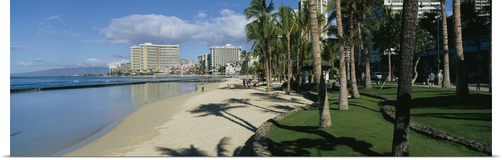 Shadow of palm trees on the beach, Waikiki Beach, Waikiki, Oahu, Hawaii