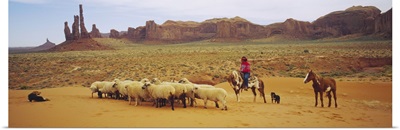 Shepherd herding a flock of sheep, Monument Valley Tribal Park