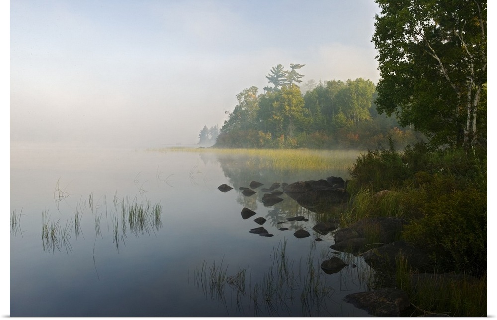 Photograph of fog filled marsh lined with trees and a rocky shoreline.