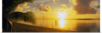 Silhouette of a couple standing on the beach, Aitutaki, Cook Islands, French Polynesia