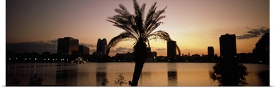 Silhouette of buildings at the waterfront, Lake Eola, Summerlin Park, Orlando, Orange County, Florida