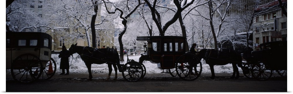 A row of vintage carriages and horses with their drivers, parked at the edge of a street next to a snowy park in the winter.