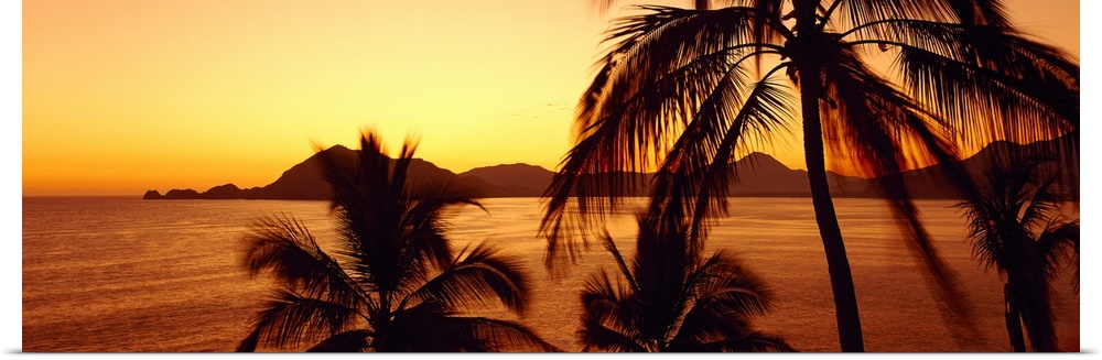 Palm trees stand on the edge of the ocean as the sun sets behind the Mexican hills.