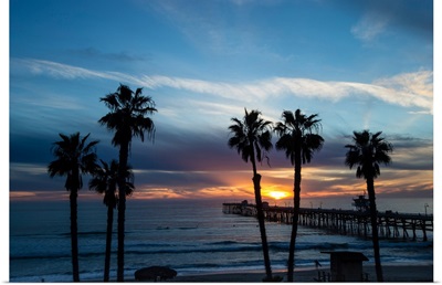 Silhouette of palm trees on the beach, Laguna Beach, California