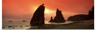 Silhouette of seastacks at sunset, Olympic National Park, Washington State,