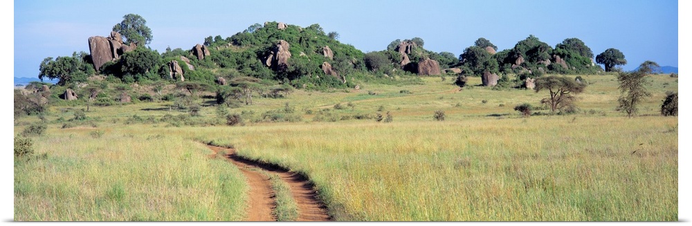 Simba Kopjes and Road Serengeti Tanzania Africa