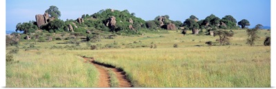 Simba Kopjes and Road Serengeti Tanzania Africa
