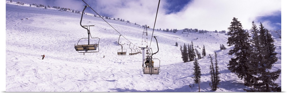 Ski lifts in a ski resort, Snowbird Ski Resort, Utah, USA
