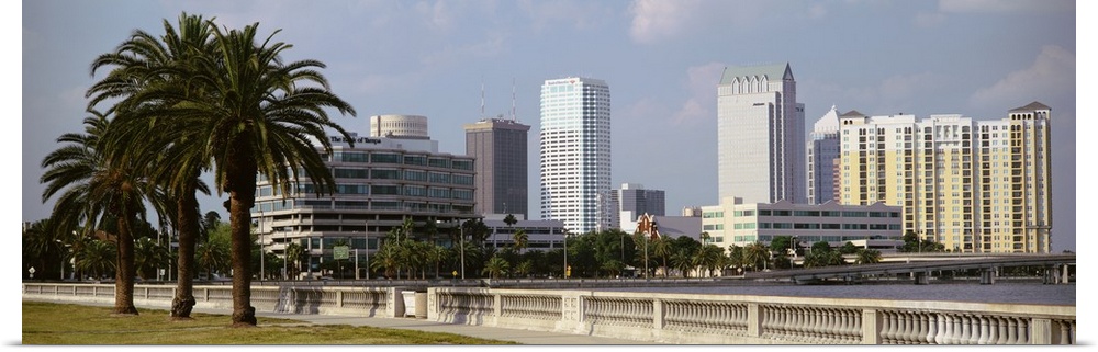 The skyline in Tampa is photographed from across the body of water that sits in front of it. Large palm trees line the lef...