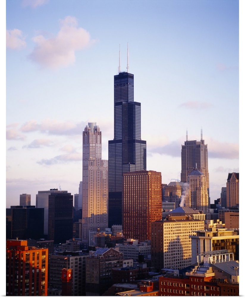 This oversized piece is a photograph of buildings in Chicago with the Sears Tower in the middle during sundown.