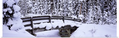 Snow covered footbridge in a forest, Banff National Park, Alberta, Canada