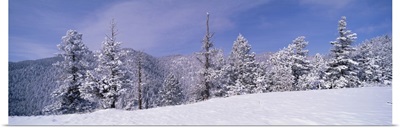 Snow covered landscape, Colorado