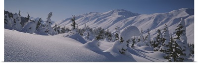 Snow covered landscape, Talkeetna Mountains, Alaska