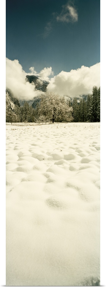 Snow covered landscape, Yosemite Valley, Yosemite National Park, Mariposa County, California
