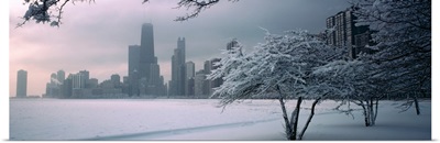 Snow covered tree on the beach with a city in the background, North Avenue Beach, Chicago, Illinois