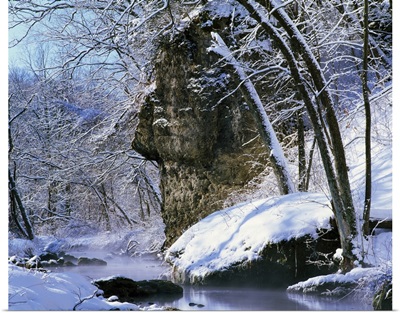 Snow-covered trees and rocks along Richmond Springs, Backbone State Park, Iowa