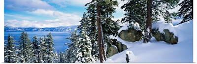 Snow covered trees on mountainside, Lake Tahoe, Nevada