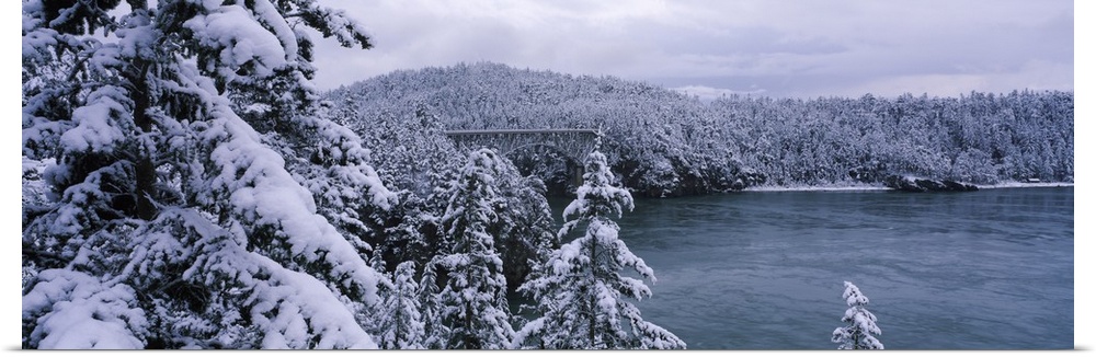 Snow covered trees with a bridge in the background, Deception Pass Bridge, Deception Pass, Whidbey Island, Skagit County, ...