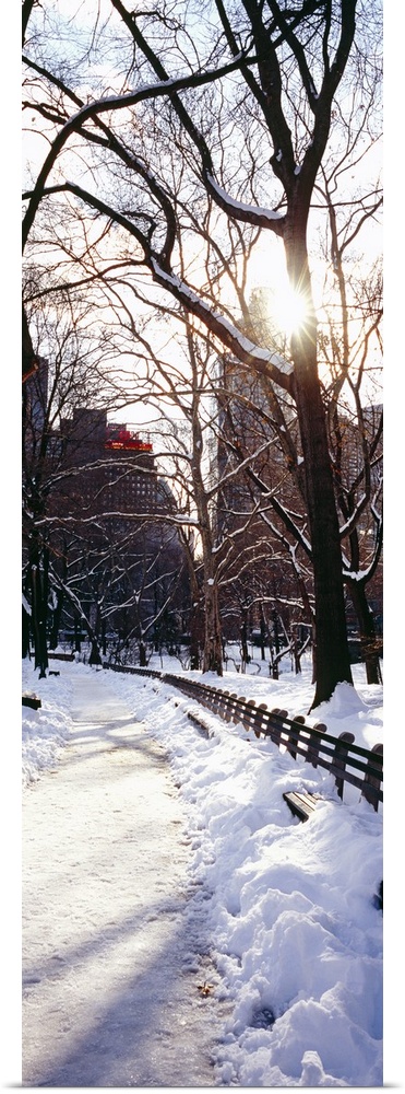 Snow covered walkway in a park, Central Park, Manhattan, New York City, New York
