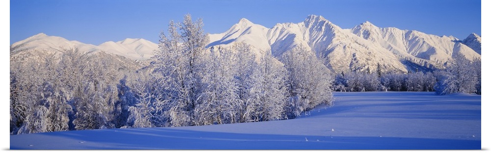 Snowcapped mountains on a landscape, Alaska