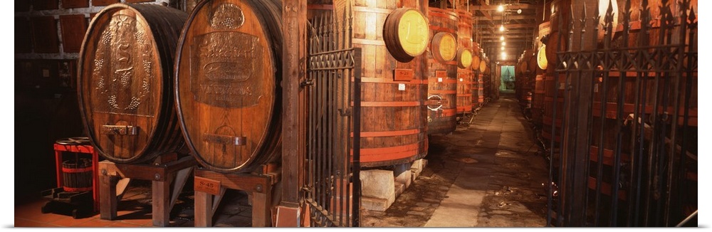 Panorama of a cellar where barrels of aging wine are being kept in controlled temperatures and humidity to achieve the bes...