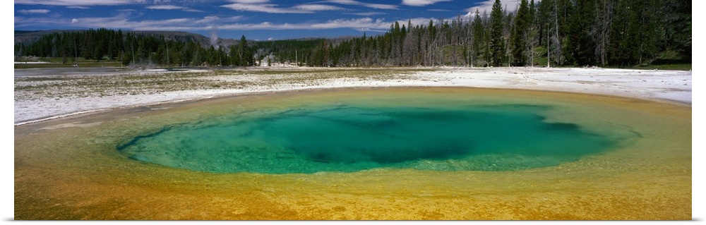Spring Beauty Pool Yellowstone National Park WY