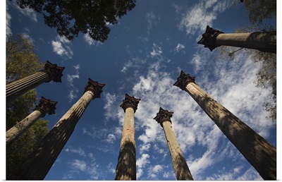 Standing columns from former plantation house, Windsor Ruins, Port Gibson, Mississippi