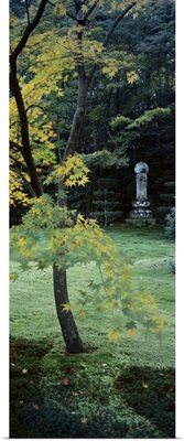 Statue of Buddha in a garden, Sanzenin Temple, Ohara, Kyoto Prefecture, Japan