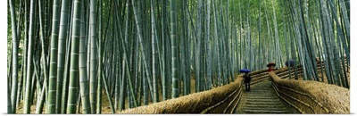 Stepped walkway passing through a bamboo forest, Arashiyama, Kyoto Prefecture, Kinki Region, Honshu, Japan