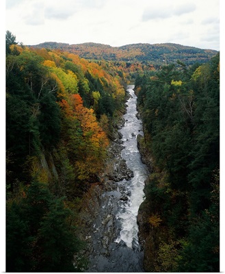Stream flowing in a forest, Quechee Gorge, Windsor County, Vermont,