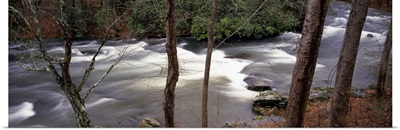Stream flowing through a forest, Appalachian Mountains, North Carolina,