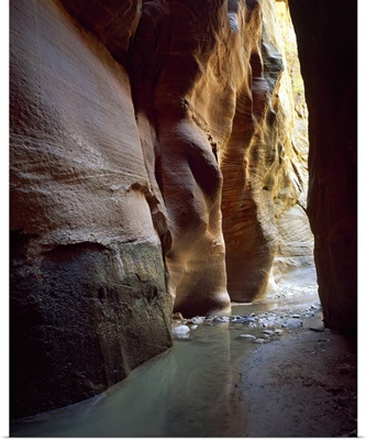Stream flowing through a slot canyon, Orderville Canyon, Zion National Park, Utah,