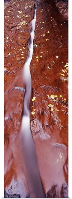 Stream flowing through rocks, North Creek, Zion National Park, Utah,