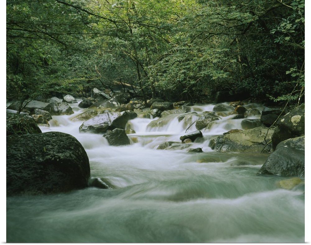 Canvas wall docor of a quick moving stream rushing through a rocky riverbed in a tropical forest.