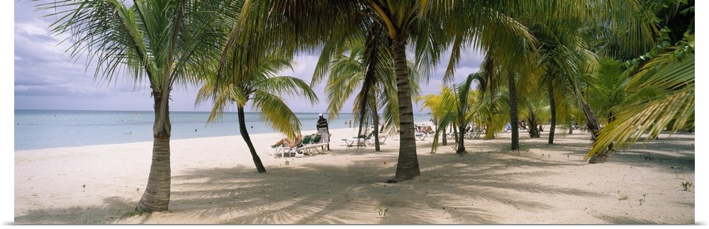 Panoramic photograph of palm trees on shoreline with ocean in the distance.  There are beach goers tanning in beach chairs...