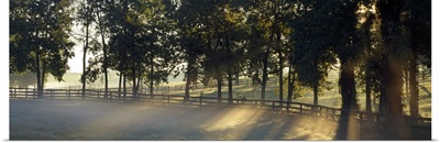 Sunrise Horse Farm Woodford County KY USA