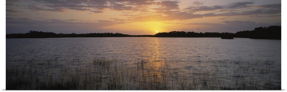 Sunrise over a pond, Nine Mile Pond, Everglades National Park, Florida