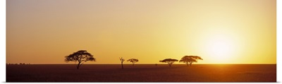 Sunrise Serengeti Tanzania Africa