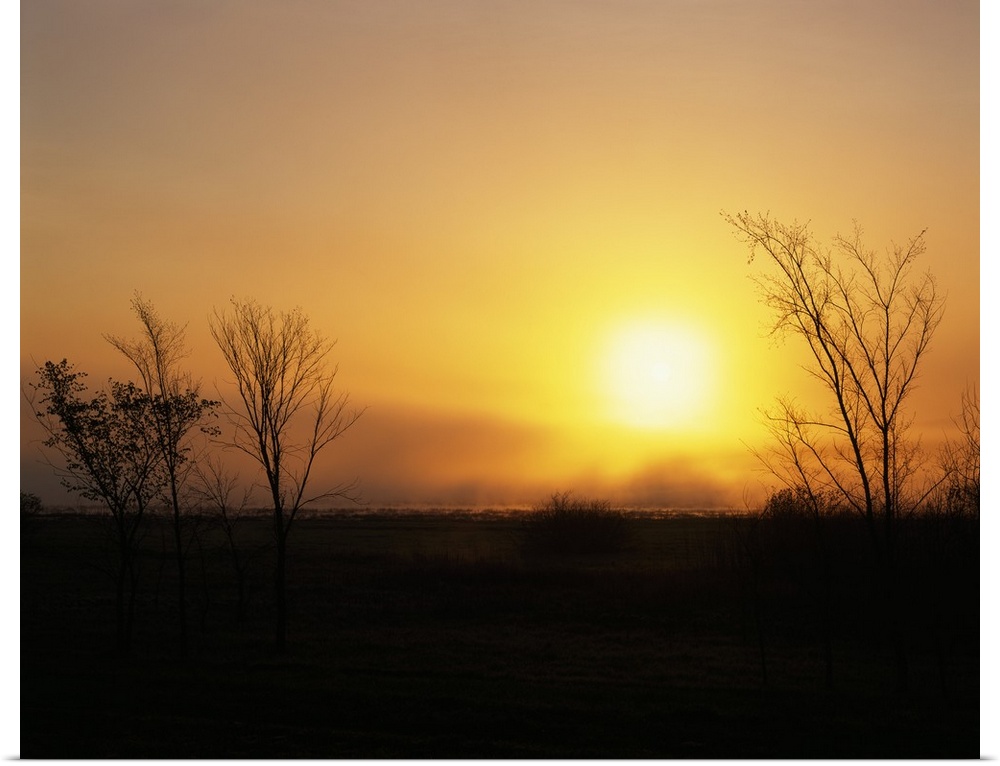 Sunrise through fog over Cardinal Marsh State Wildlife Area, Iowa