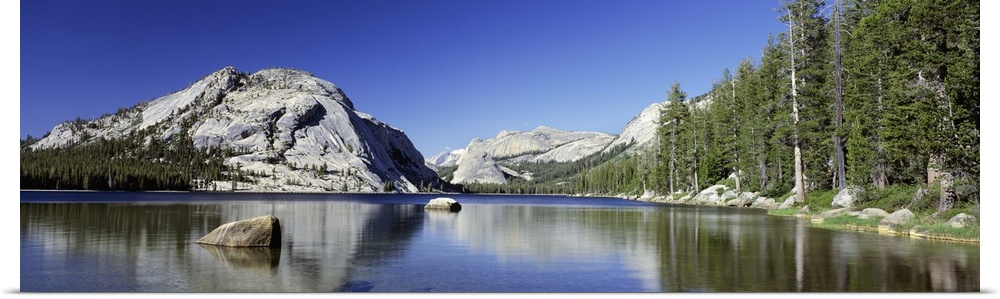 Panoramic view of immense cliffs and tall pine trees that line a body of water and reflect in it.
