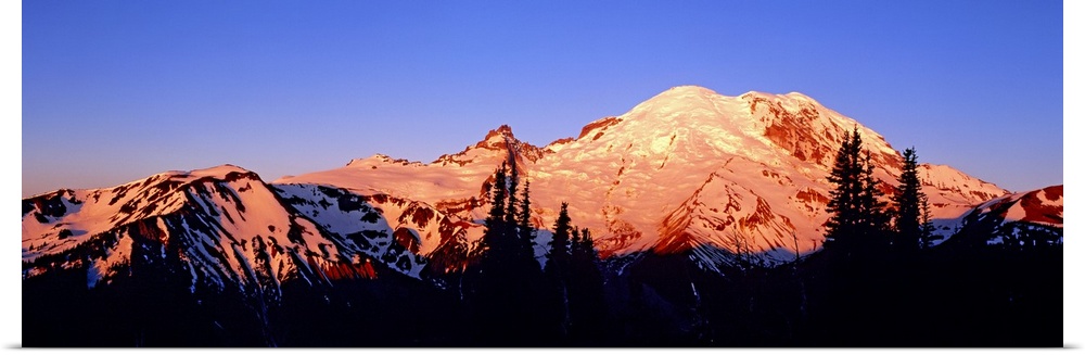 Panoramic photograph taken of snow topped mountains during sunset with the trees in front silhouetted.