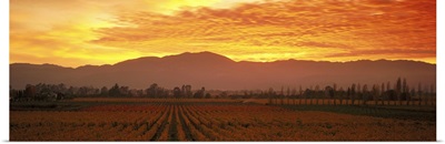 Sunset Napa Valley CA