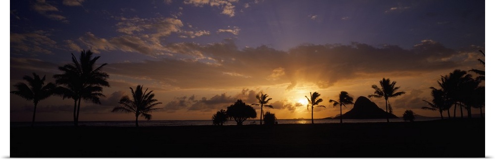 Panoramic photograph taken of a sunset in Hawaii with the land and palm trees silhouetted.