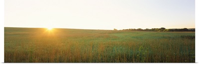 Sunset over a landscape, Iowa County, Wisconsin,