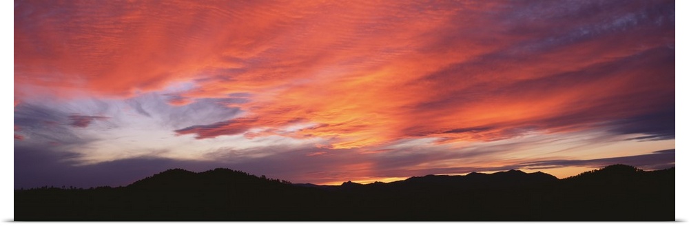 Panoramic photograph on a large wall hanging of the Black Hills National Forest silhouetted beneath a vibrant sunset in a ...